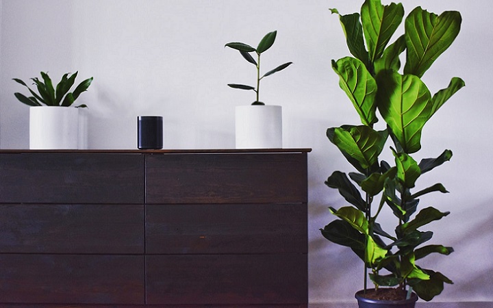 mueble-de-madera-y-plantas